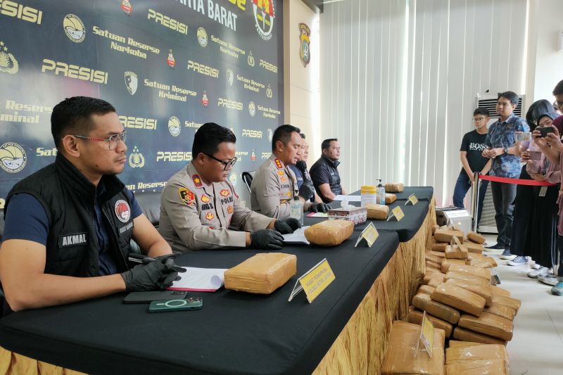 Polisi Ungkap Peredaran Kilogram Ganja Kering Antara News