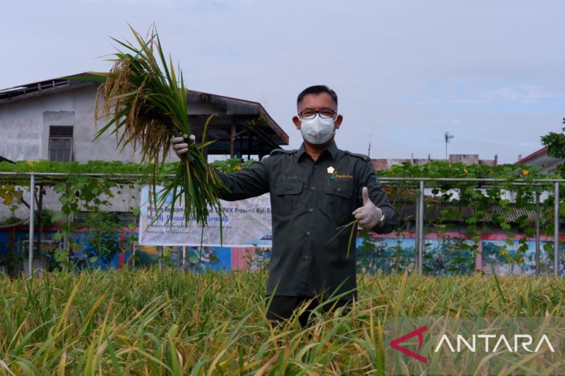 Dinas TPH Kalbar Terapkan Tiga Strategi Mitigasi Hadapi El Nino