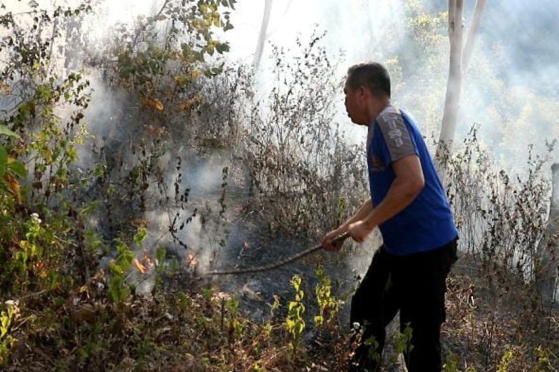 Petugas Gabungan Padamkan Kebakaran Hutan Di Ponorogo Antara News