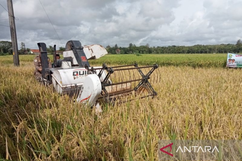 Pemkab Bantul Tingkatkan Produktivitas Pertanian Dengan Mekanisasi