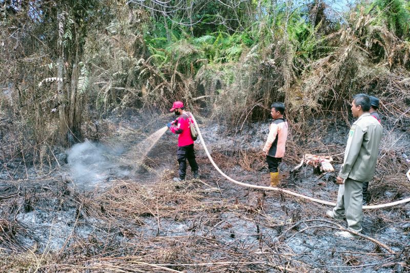 Titik Panas Terdeteksi Di Wilayah Kaltim Antara News Kalimantan Barat