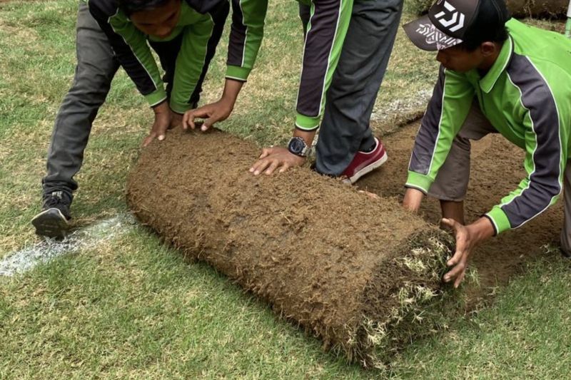 Growlight Untuk Bantu Proses Pertumbuhan Rumput Lapangan Utama Jis