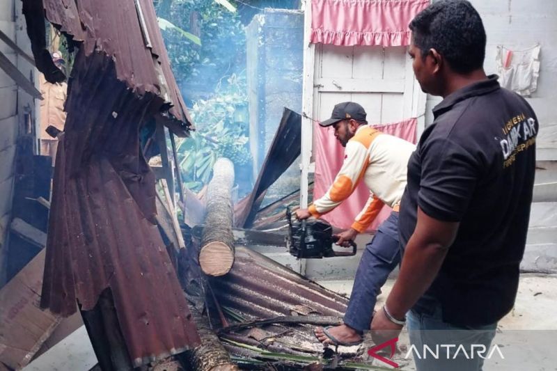 Pemkab Nagan Raya Bersihkan Rumah Warga Tertimpa Pohon Antara News Aceh