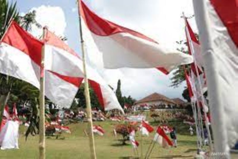 Pekanbaru Peroleh Penghargaan Gerakan Juta Bendera Merah Putih