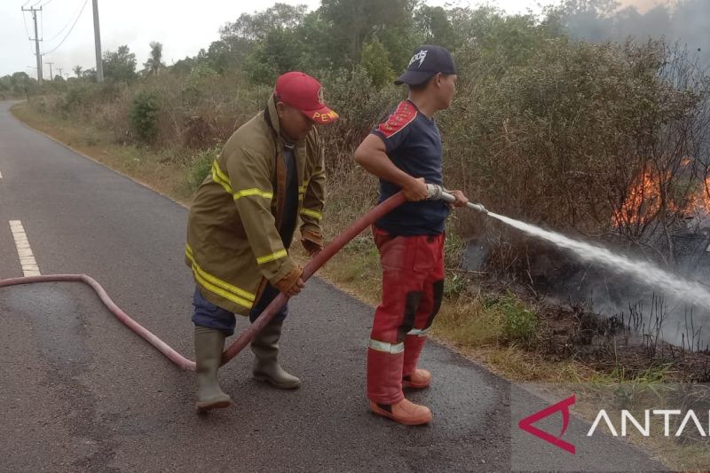 BPBD Belitung Berhasil Padamkan Kebakaran Lahan Tiga Hektare ANTARA