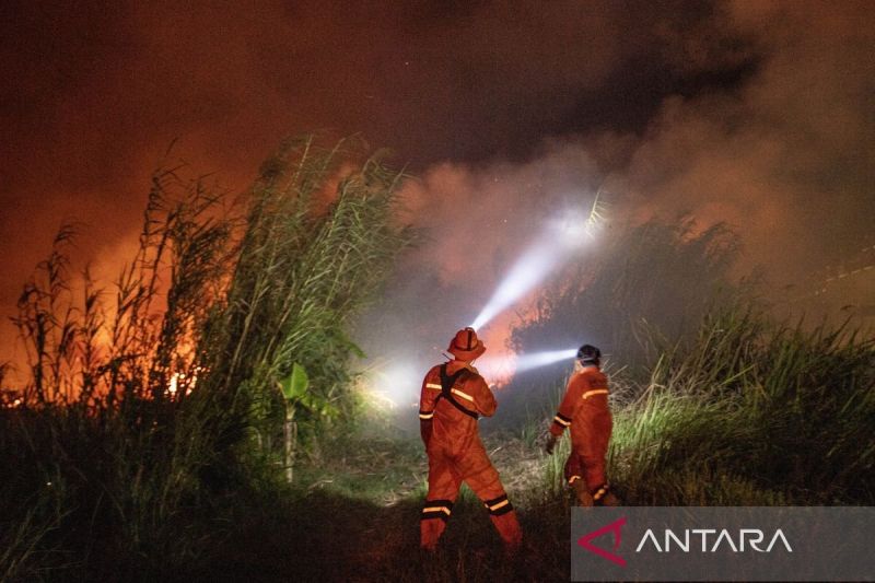 Upaya Pemadaman Kebakaran Lahan Di Ogan Ilir Antara News