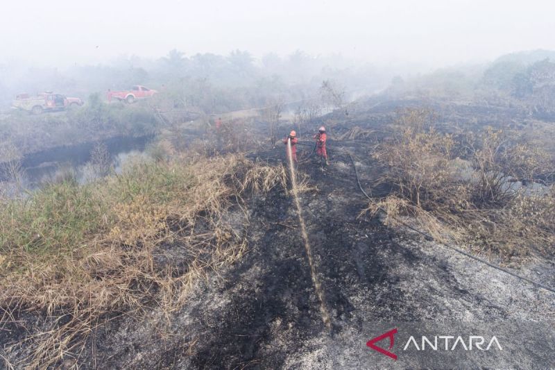 Upaya Pemadaman Kebakaran Lahan Gambut Di Ogan Komering Ilir Antara News