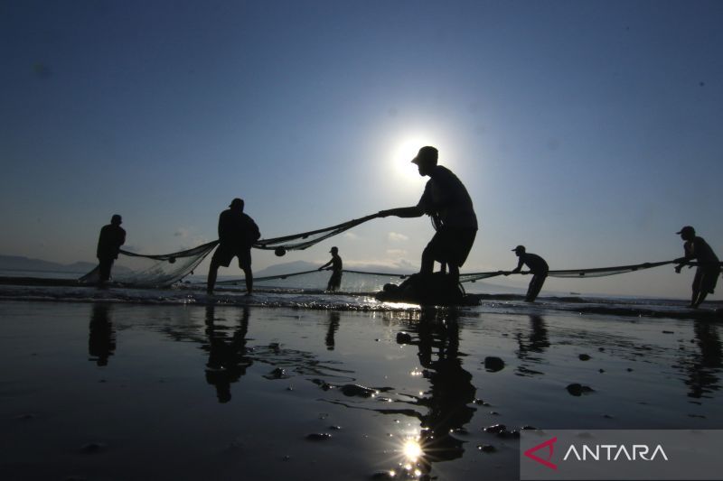 Nelayan Pengguna Jaring Tarik Pantai ANTARA News Jawa Timur