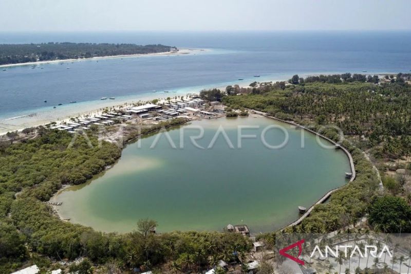 Walhi Soroti Dugaan Kerusakan Mangrove Dan Penimbunan Danau Gili Meno