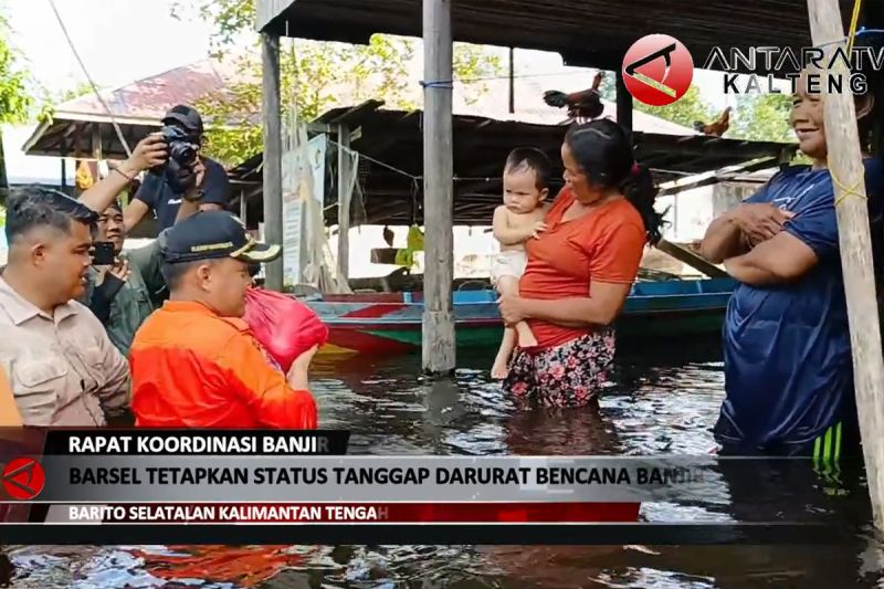 Pemkab Barsel Tetapkan Status Tanggap Darurat Bencana Banjir ANTARA