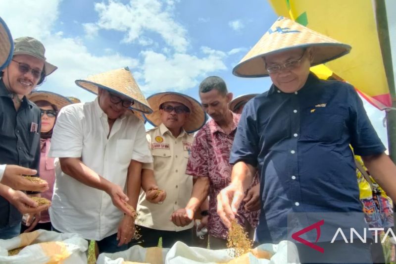 WPI Tingkatkan Kemitraan Dengan Petani Jadi 20 Ribu Ha ANTARA News