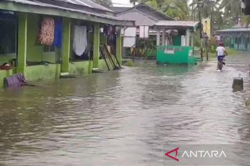 Rumah Di Kota Bengkulu Terendam Banjir Akibat Hujan Deras Antara News