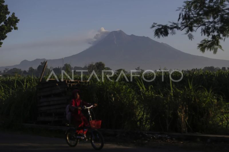 Gunung Merapi Luncurkan Kali Guguran Lava Dalam Sepekan Antara News