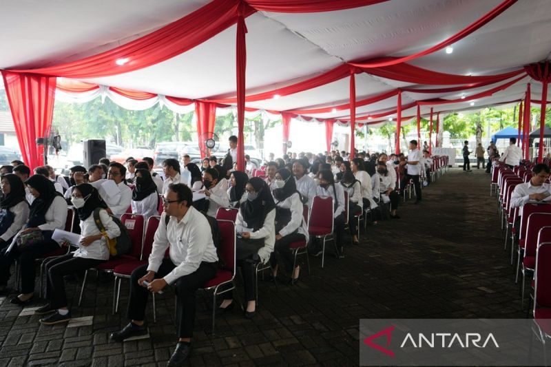 Daftar Instansi Yang Buka Cpns Dan Cara Mengeceknya Antara News