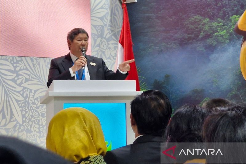 Hashim Djojohadikusumo Resmikan Paviliun Indonesia Di COP29 ANTARA News