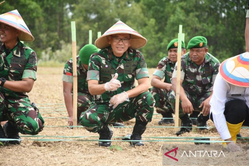 Danrem Nani Wartabone Buka Lahan Cabai Di Pohuwato Antara News