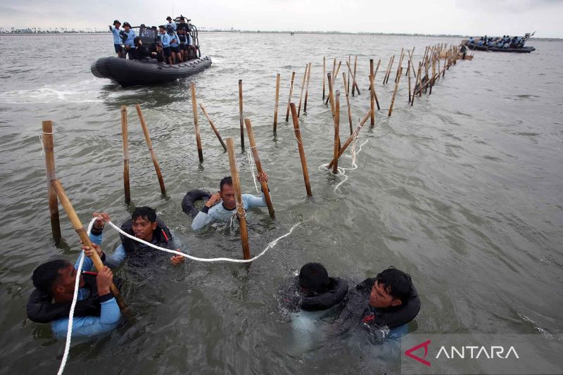 Tni Al Kembali Bongkar Pagar Laut Di Perairan Banten Antara News