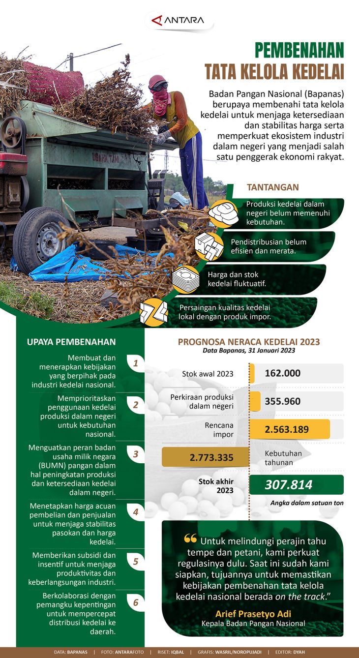 Pembenahan Tata Kelola Kedelai Infografik ANTARA News