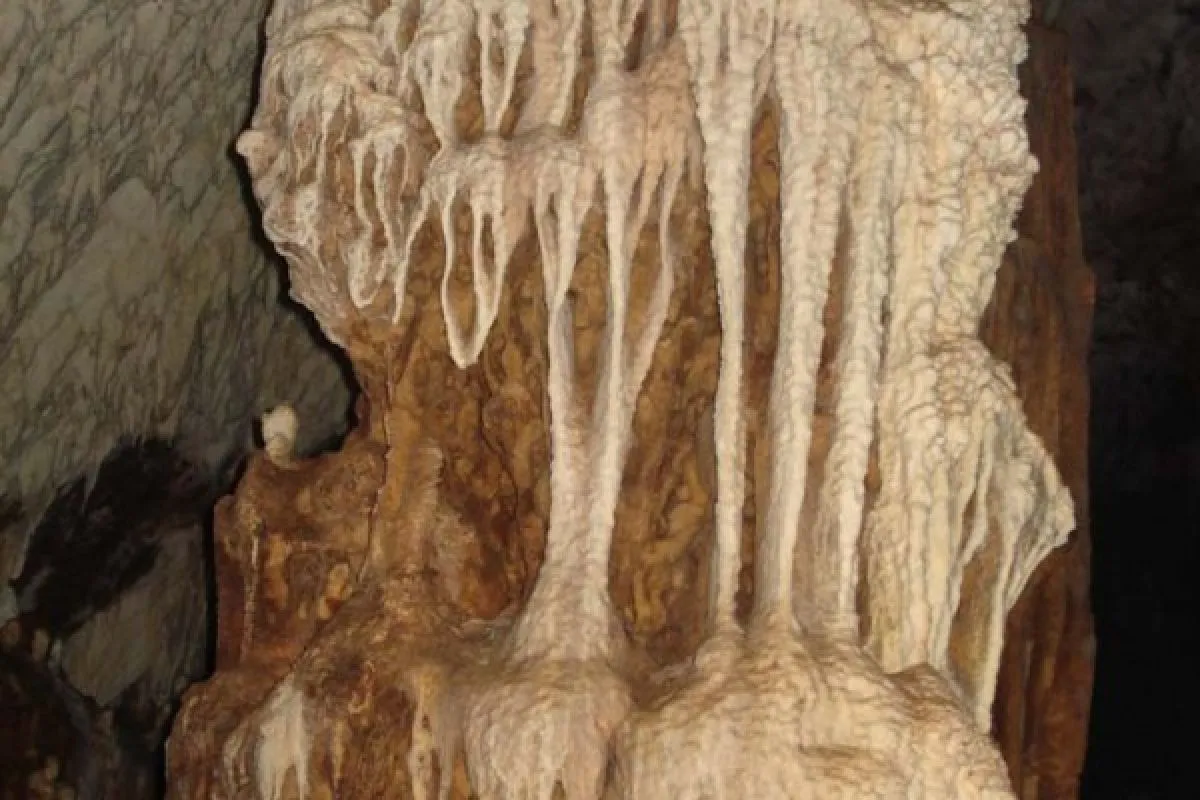 Jessica Burciaga bilan porno Yolovchini aldash porno