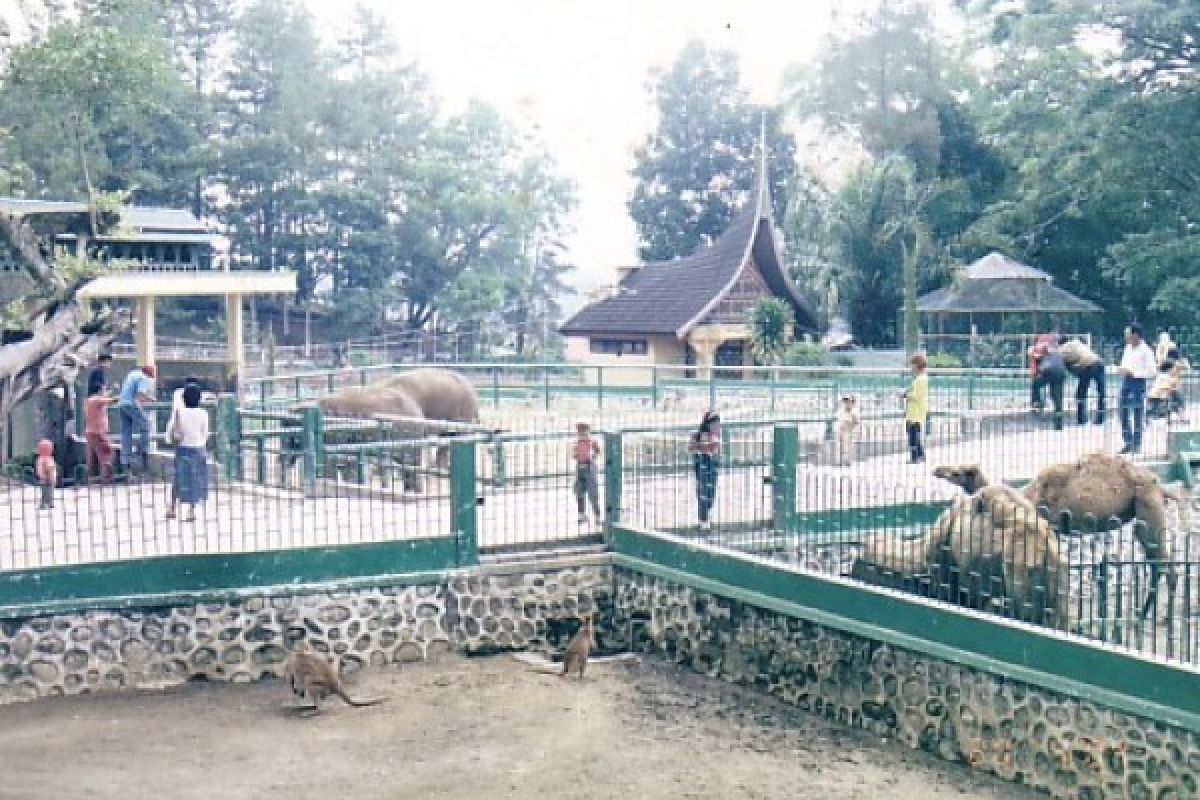 Kebun Binatang TMSBK