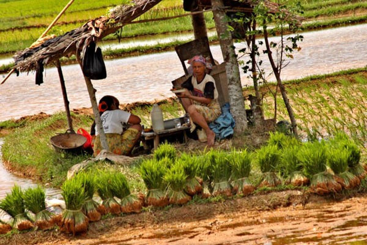 Ini Bahayanya Jika Masyarakat Buka Ladang di Pinggir Sungai