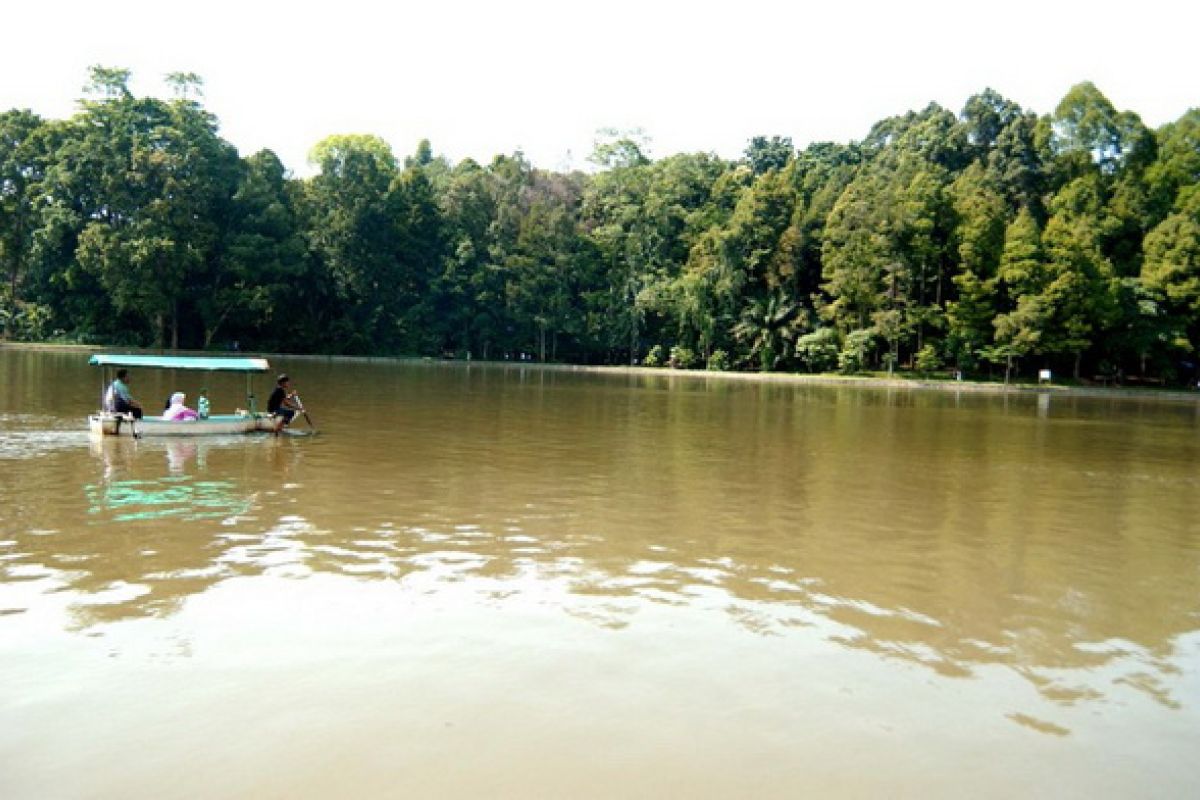 Hutan Indonesia Hadapi Tekanan Berat