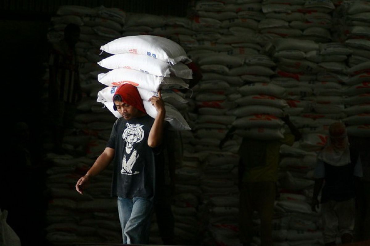 C Sulawesi to get imported rice stock of 5,800 tons