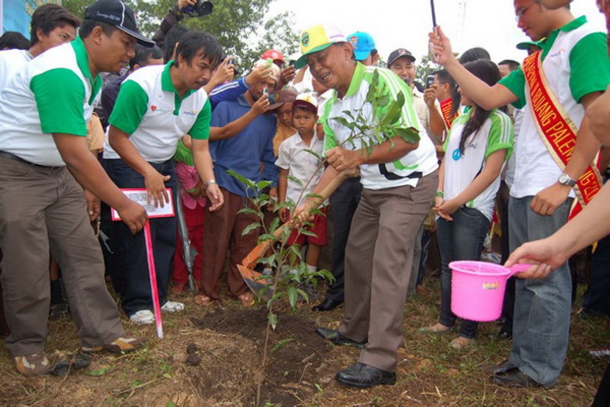 Jejak Bumi indonesia siapkan 10.000 bibit pohon