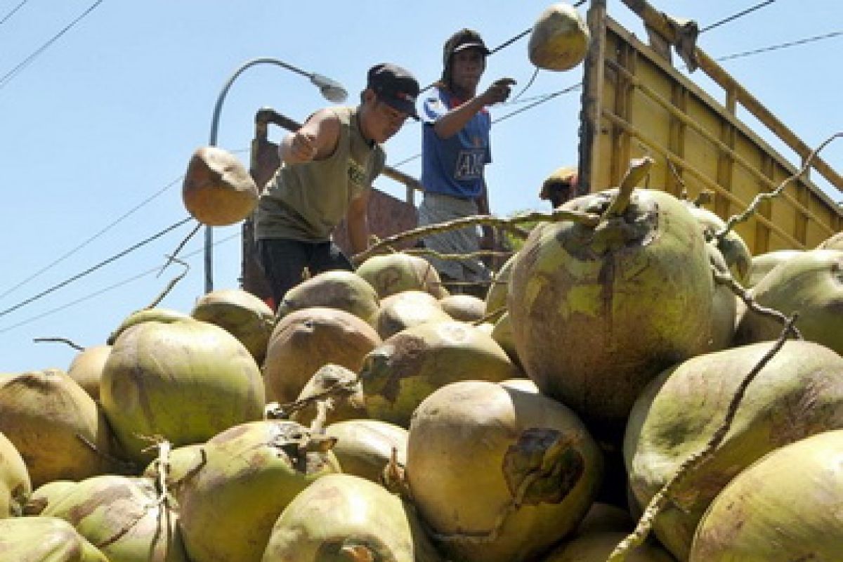 Air Kelapa Minuman Favorit Berbuka Puasa