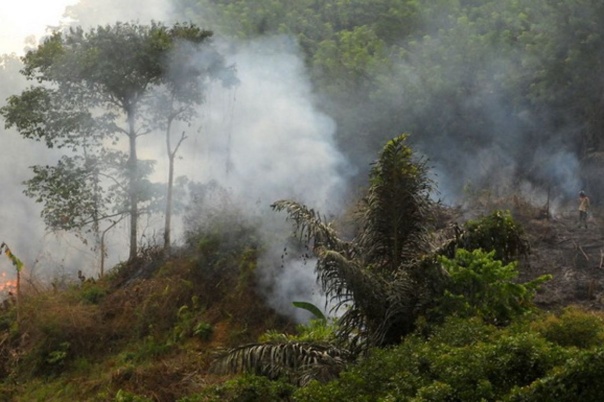 Jumlah titik panas di Kalimantan Timur  berkurang  menjadi enam