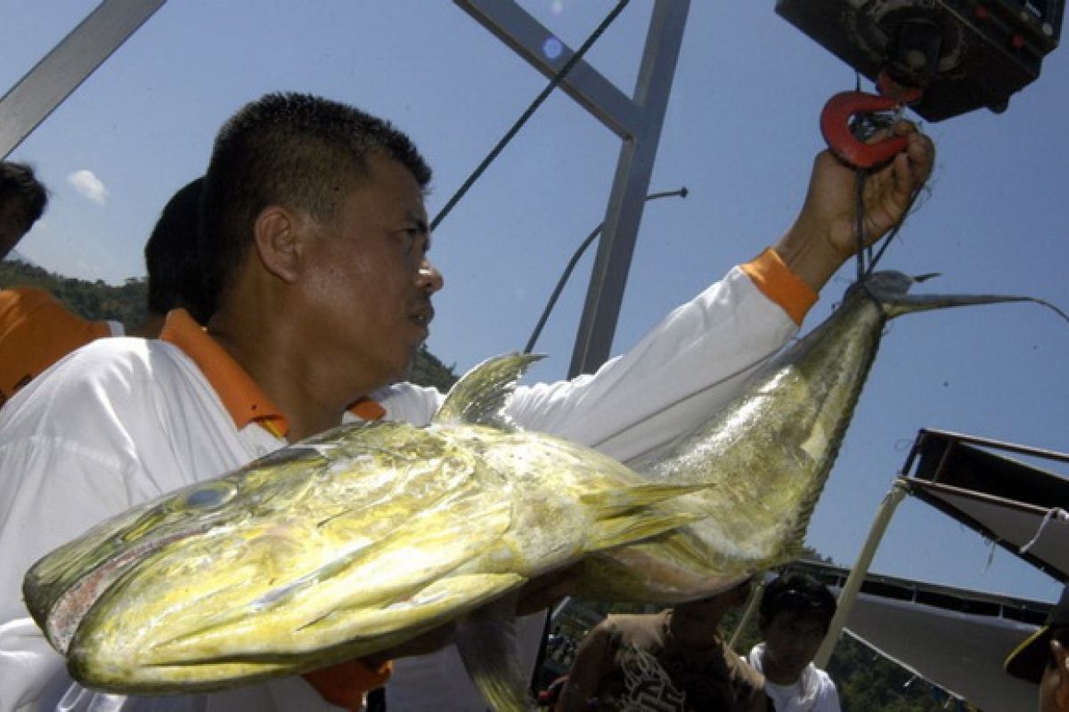 5 hal yang harus diperhatikan ketika mancing di laut