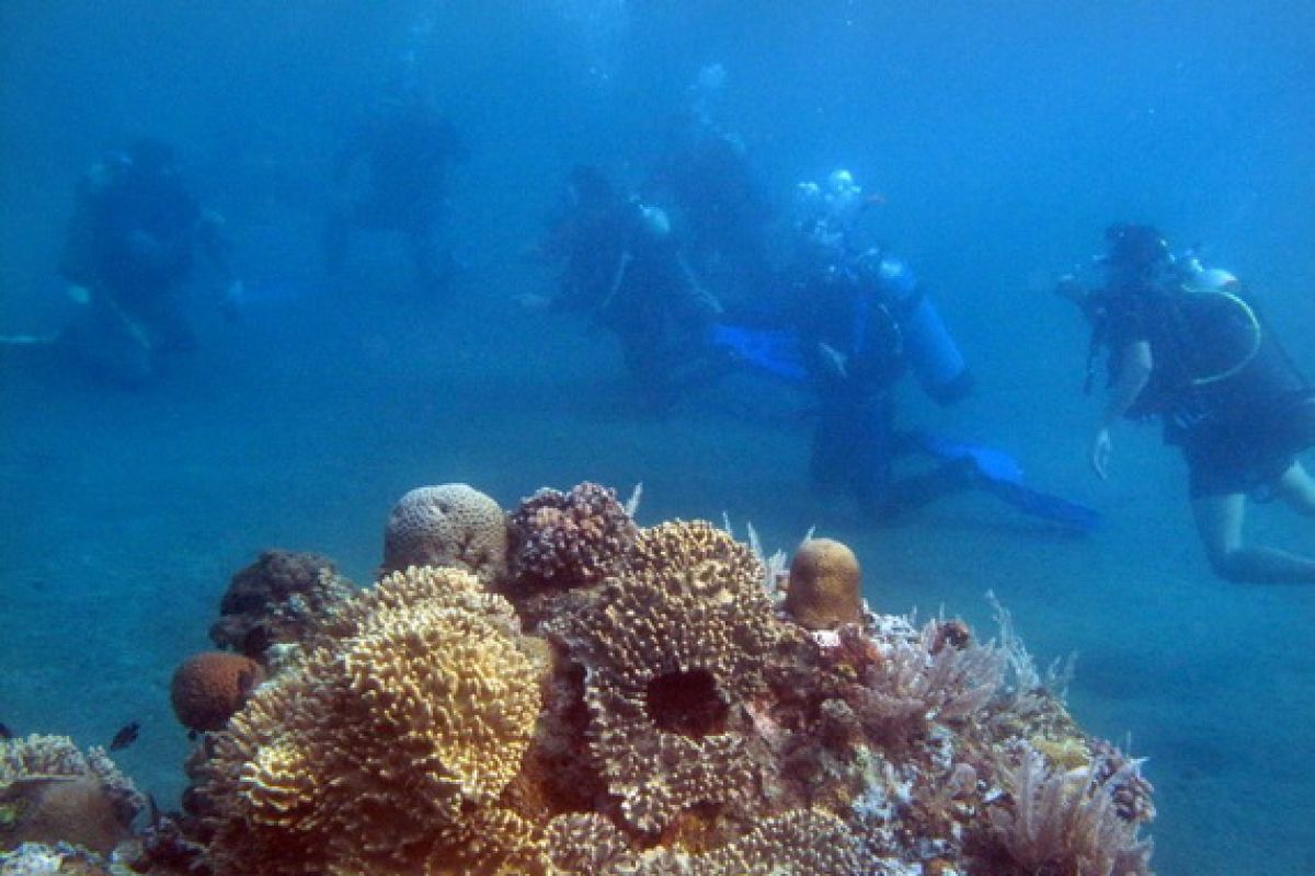 US provides US$7 million to Bunaken Sea Park