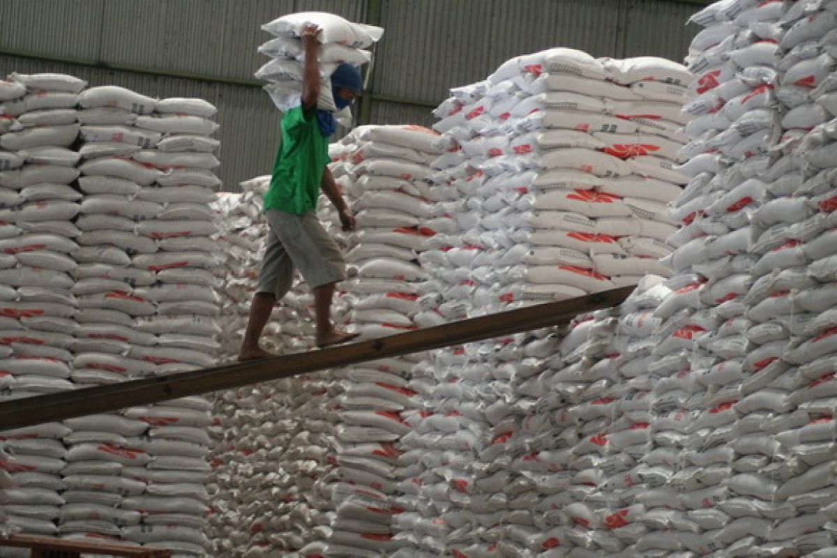 Govt To Import Rice Conditionally 
