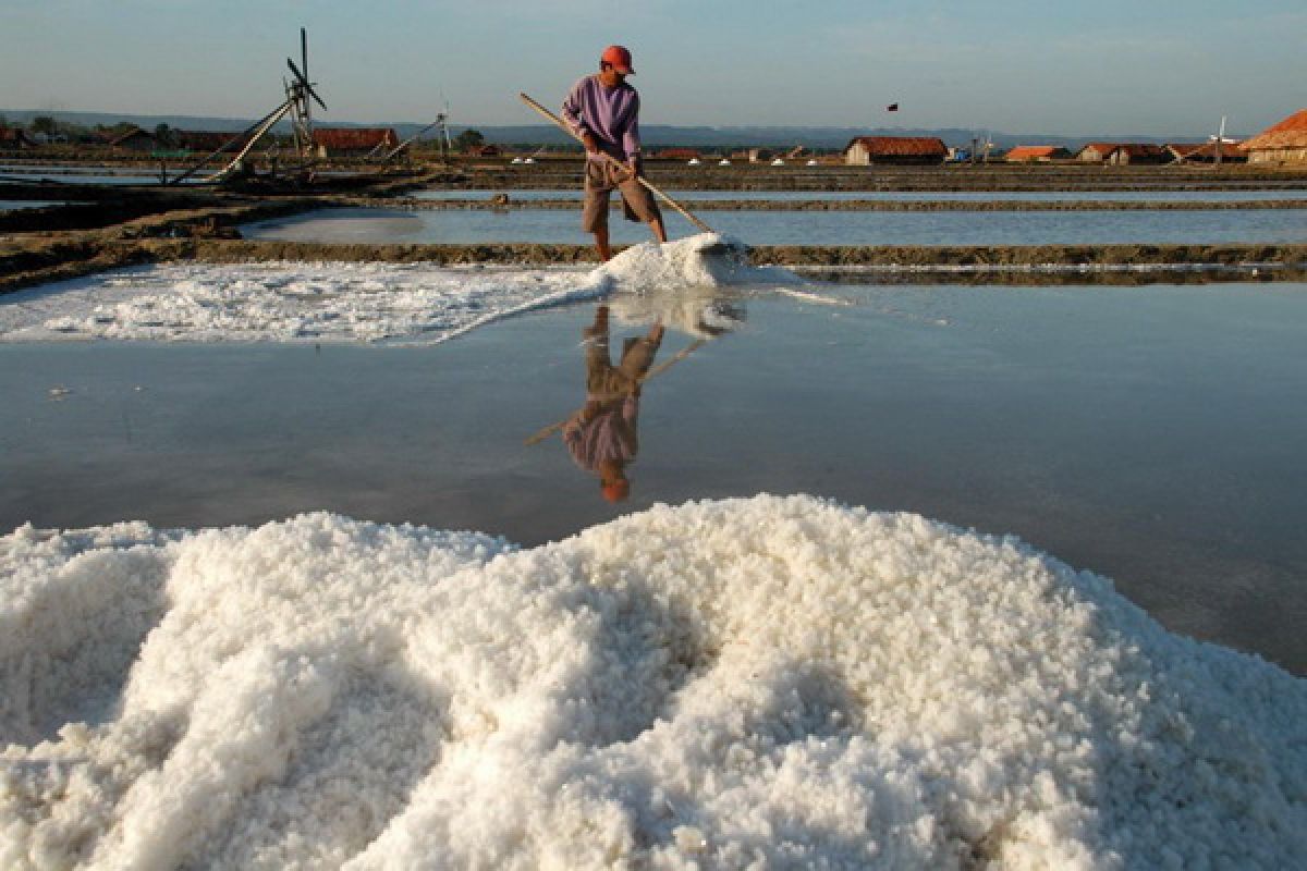 Minister hopes Indonesia can export salt in 2013
