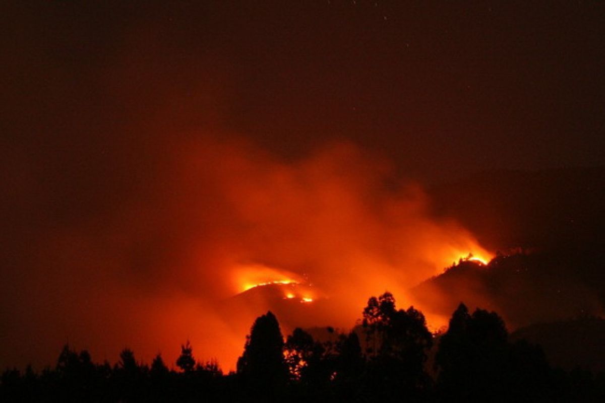 Kebakaran di Gunung lawu berhasil dilokalisir