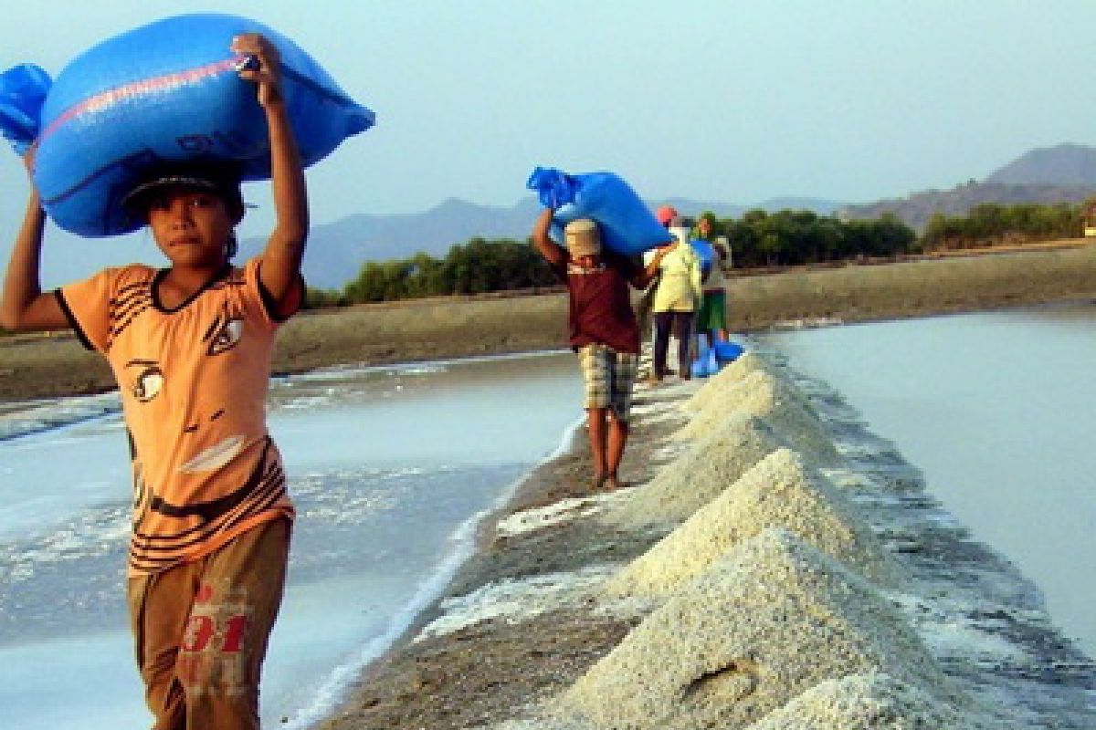 Pengembangan Garam di NTT Perlu Bantuan Pusat 