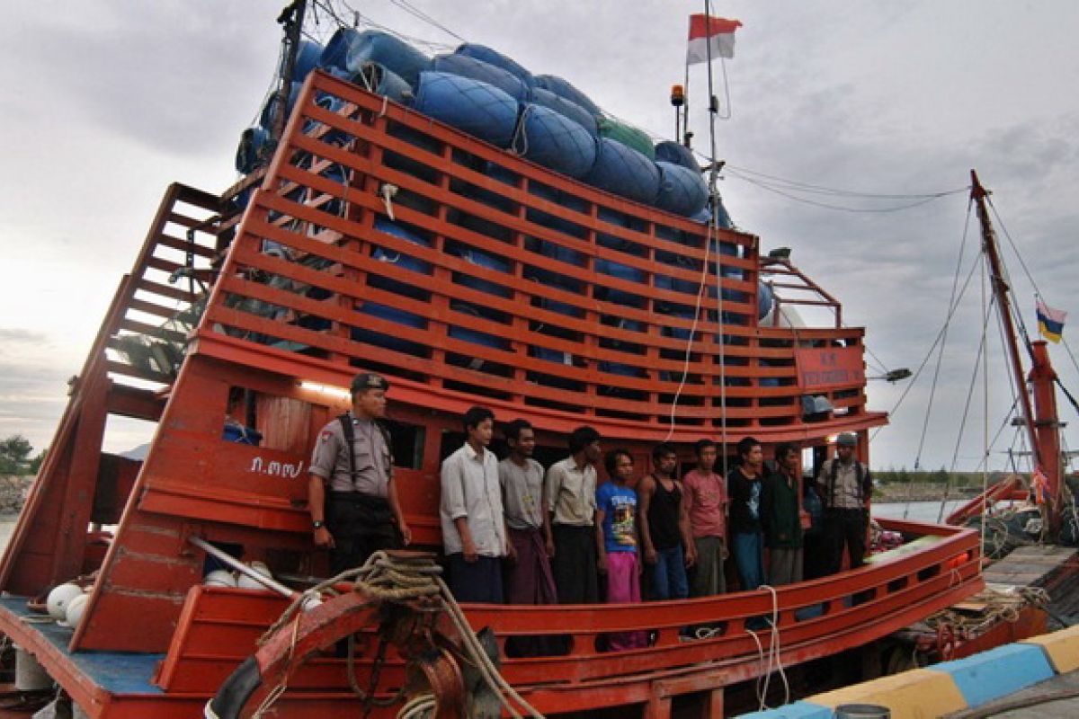 Kekayaan laut Arafura hilang Rp11,8 triliun setahun