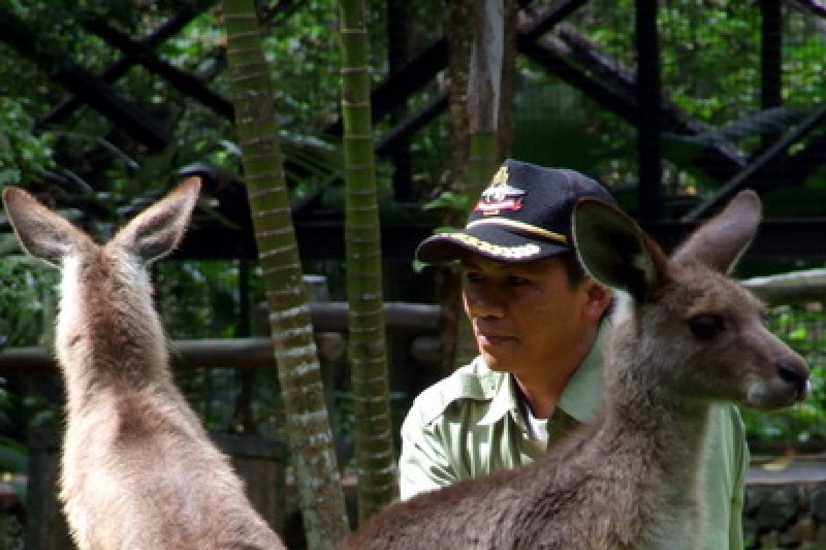 Taman Safari Indonesia Masuki Era Medik Konservasi