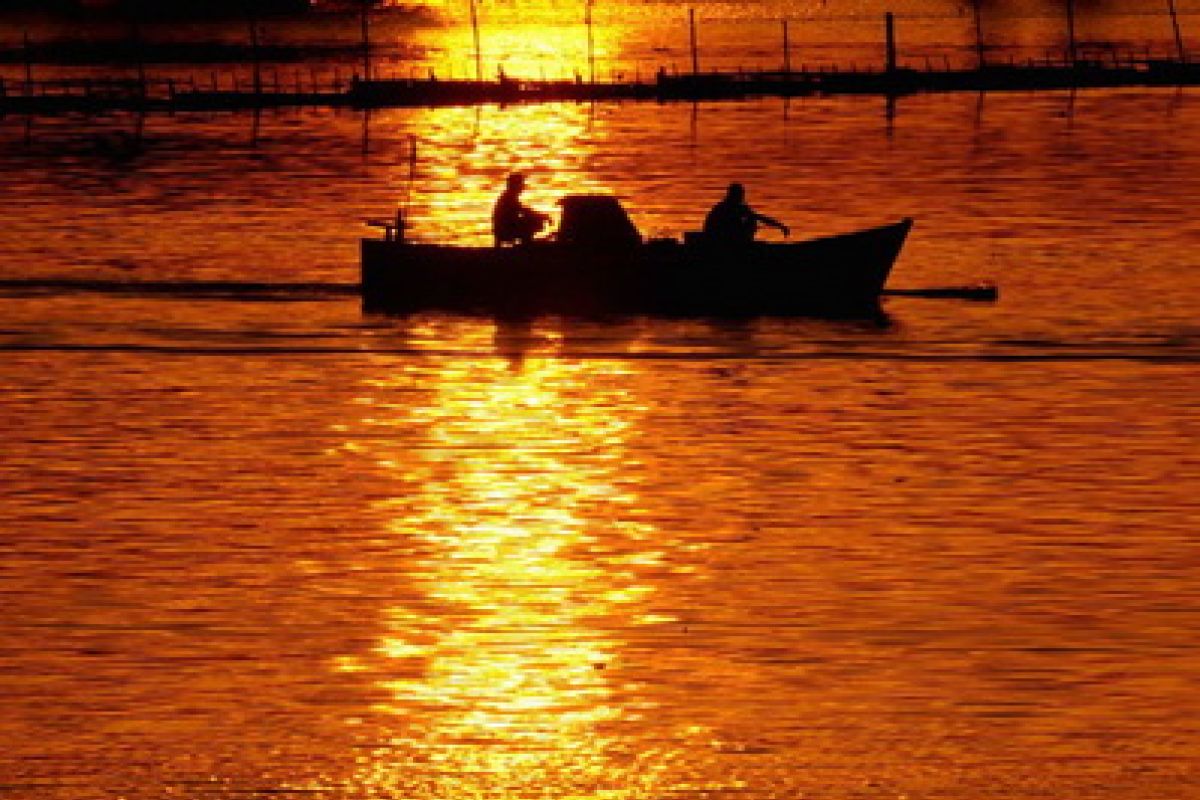 DKP Meminta Pertamina Atasi Kelangkaan BBM Nelayan 