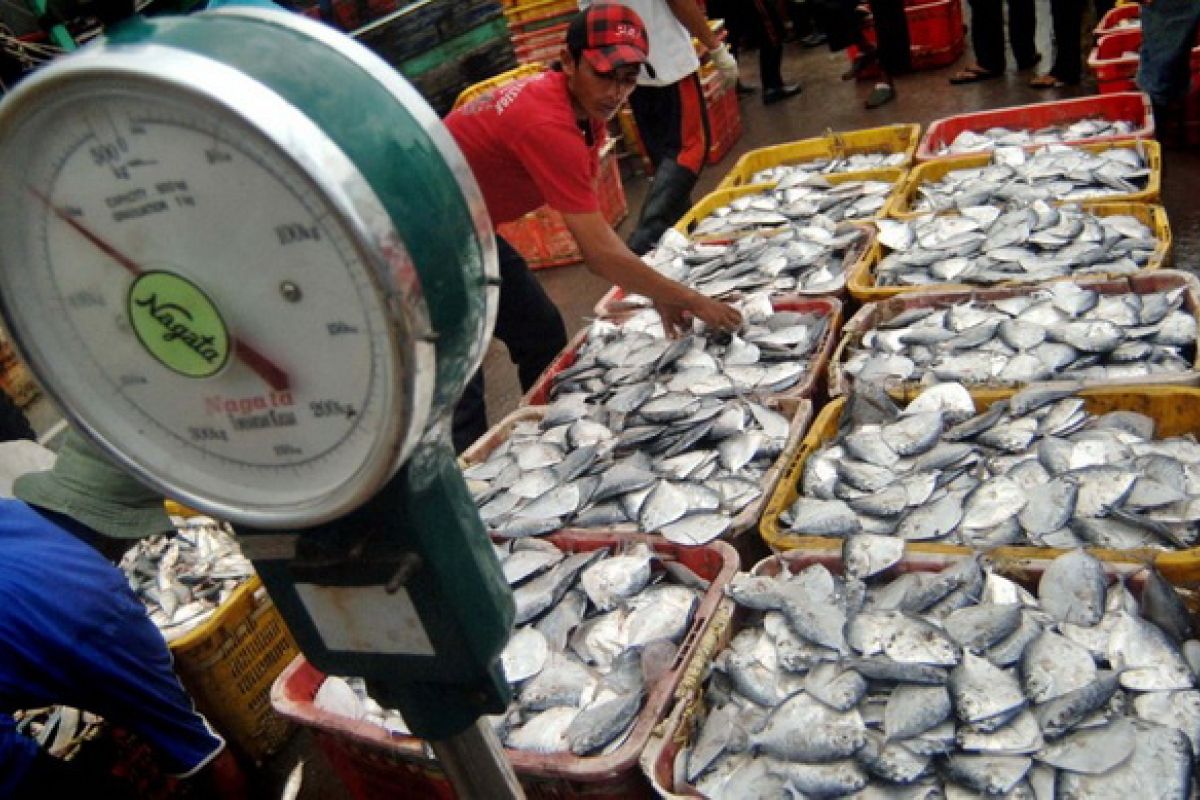Ministry sets 2011 fishery production target at 12.6 mln tons