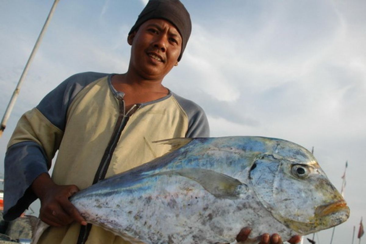WWF Ajak Masyarakat Bijak Konsumsi Ikan