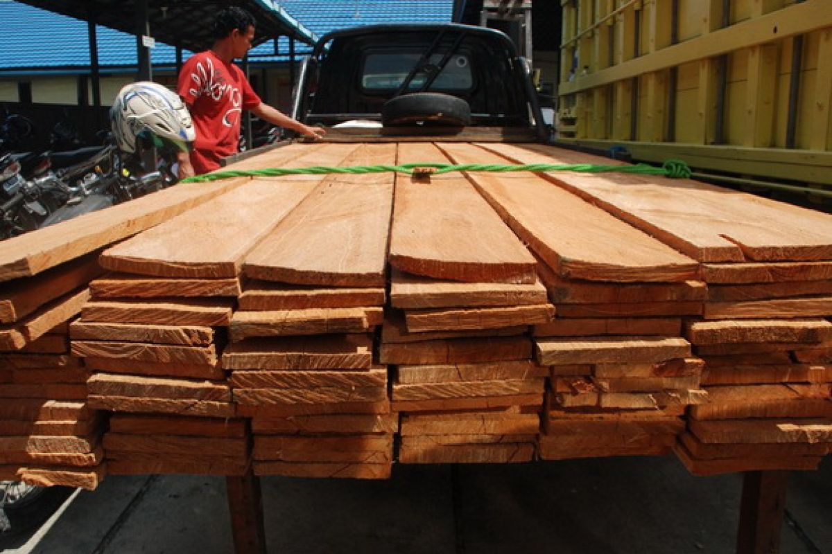 Polisi tangkap dua tersangka pengangkut kayu ilegal