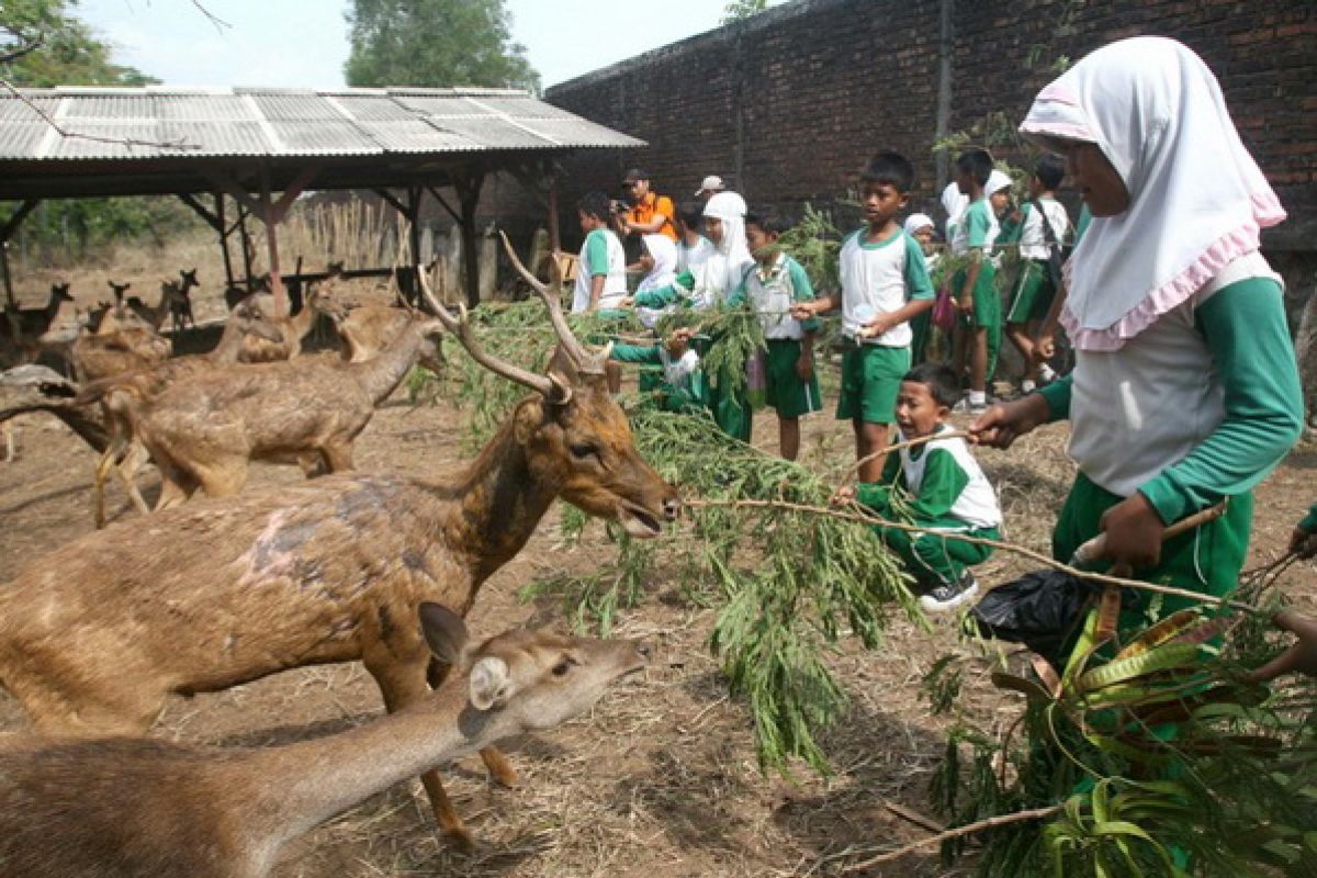 Pengelola bantah telantarkan satwa kebun binatang