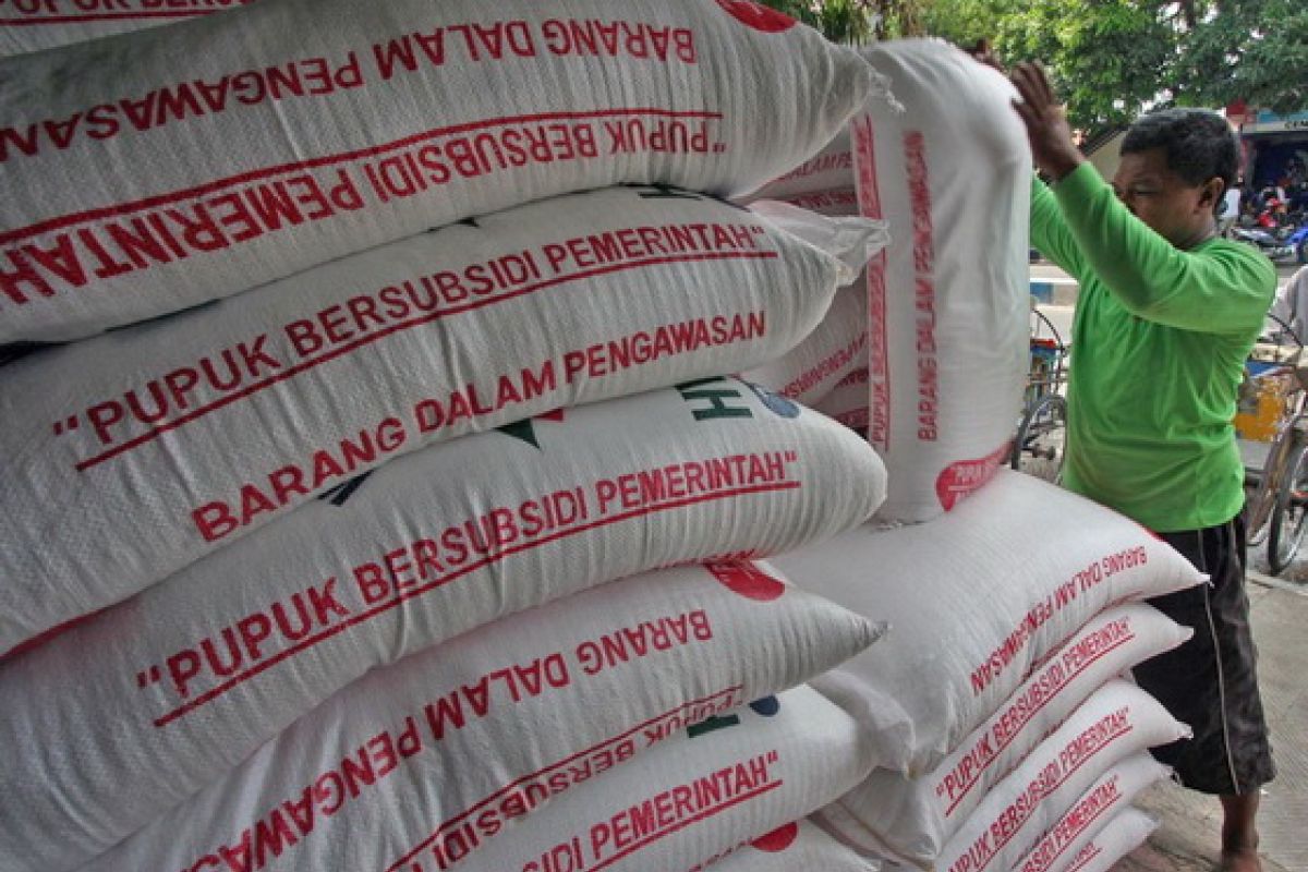 Pusri guarantees sufficient supply of subsidized fertilizer in Bengkulu