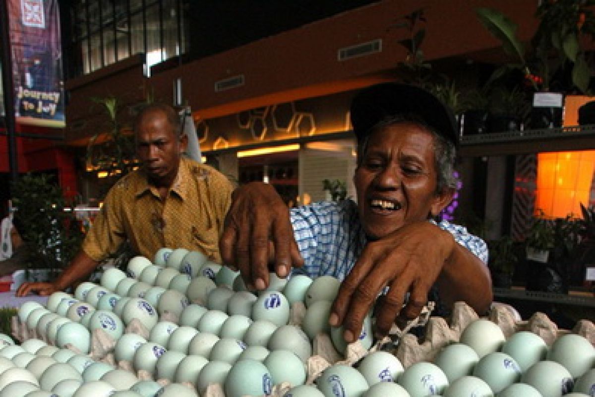 Menteri BUMN borong telur asin di Karawang