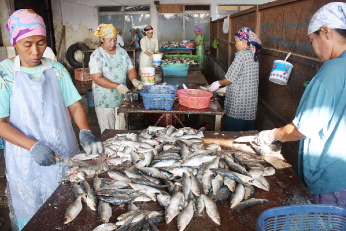 Raids on imported canned sardines should be increased