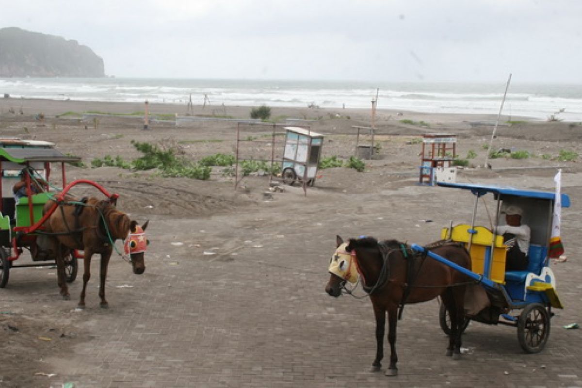 Sepekan 72.565 wisatawan kunjungi Pantai Parangtritis