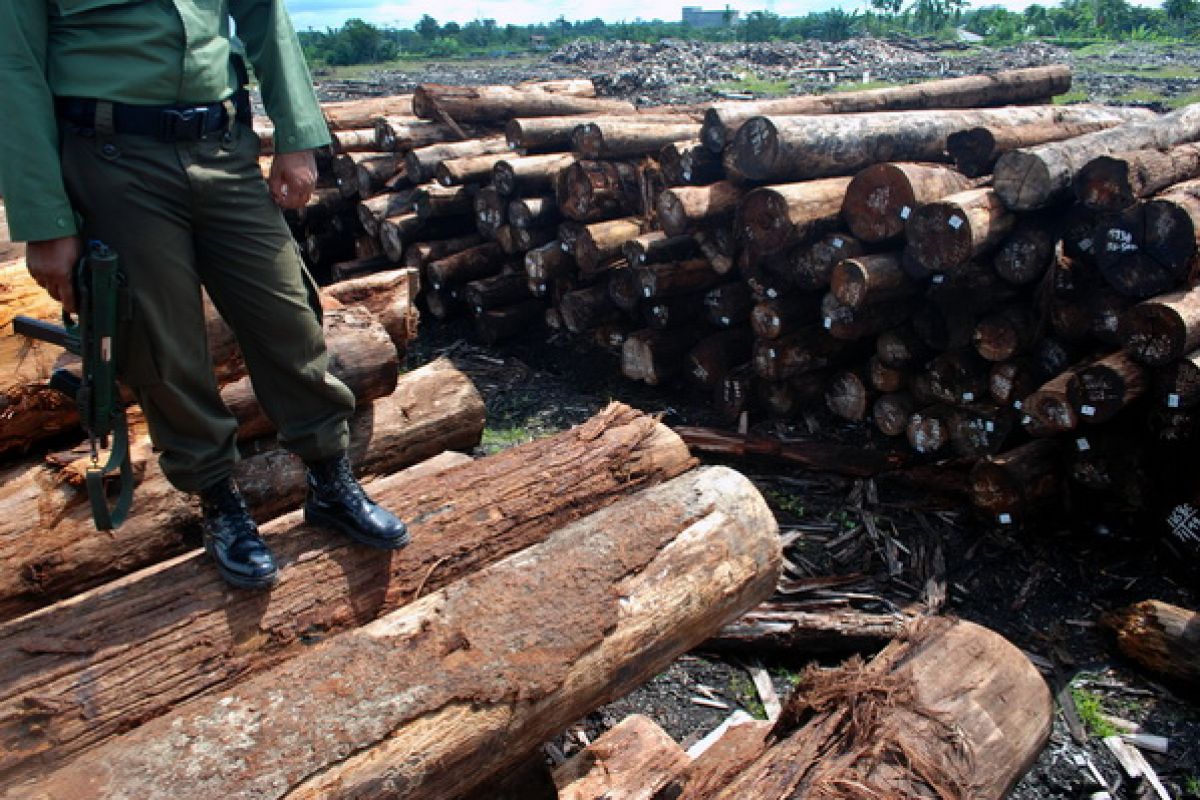 UNOCD supports RI`s effort to combat illegal logging 