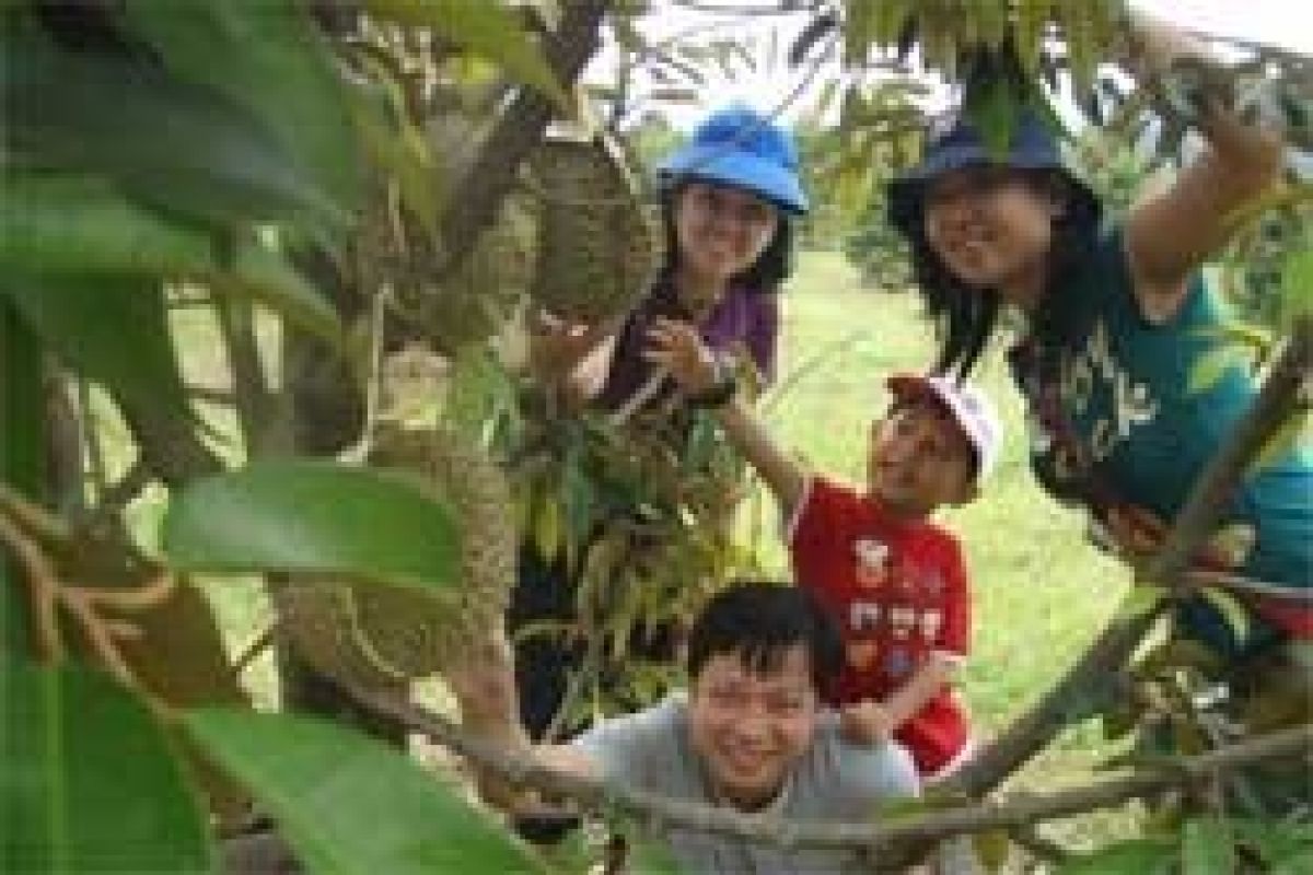 Petani Lebak Kembangkan Agrowisata