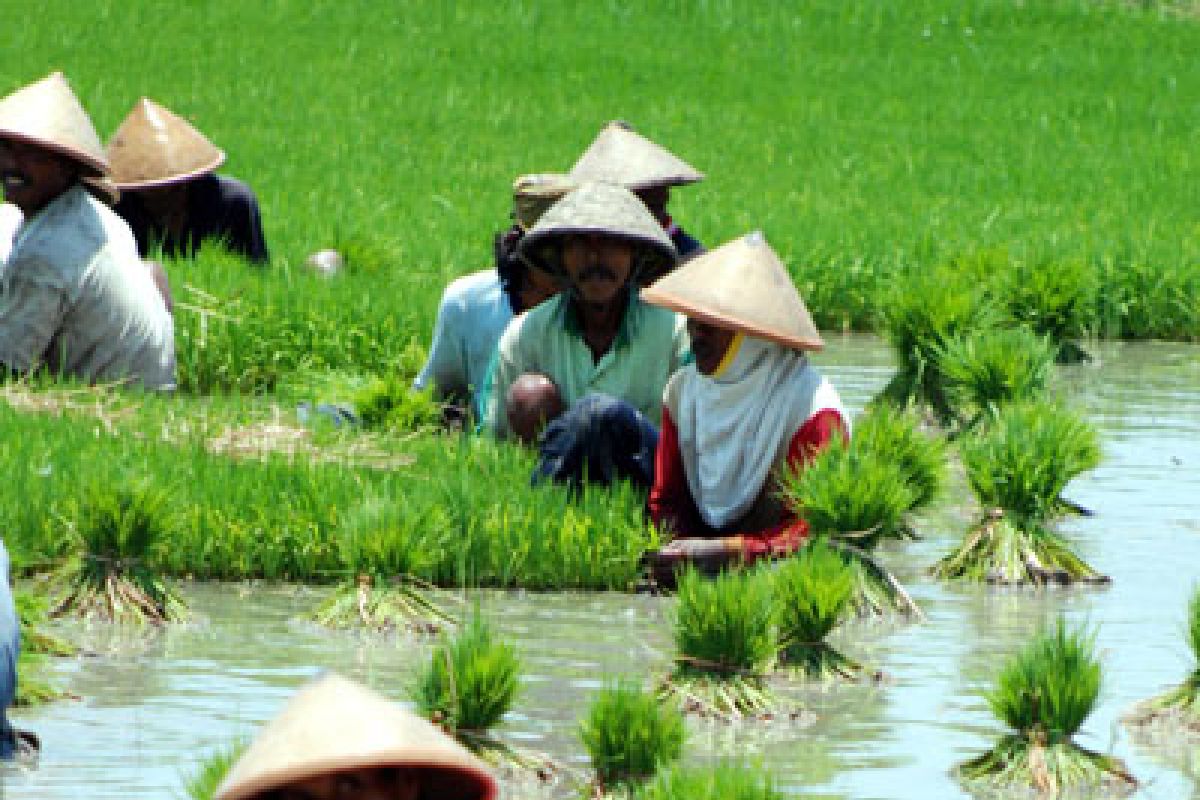 BPS sebut warga miskin di Kabupaten Pati berkurang